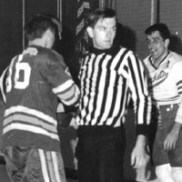 The Ned Fellers EHL Linesman and IHL Official Photo Album