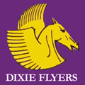 Eastern Hockey League - Nashville Dixie Flyers - Pegasus Logo